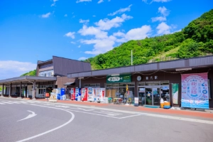 道の駅青の国ふだい