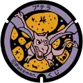 ポケモン - プテラ